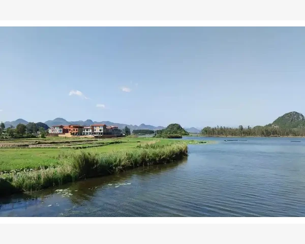 B2B电子商务物流协同效率提升全流程